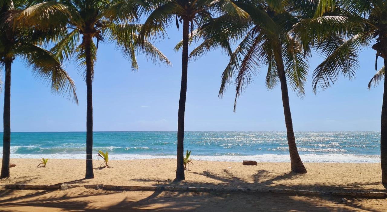 Trevily Porto Flats A 100M Da Praia Porto de Galinhas Ngoại thất bức ảnh