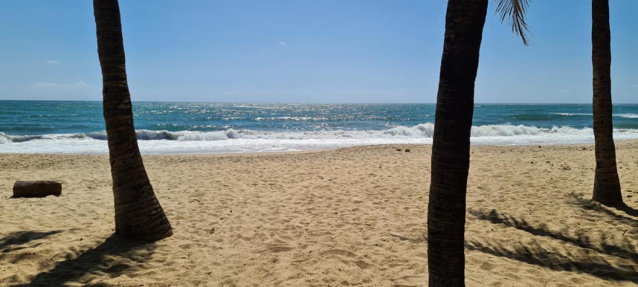Trevily Porto Flats A 100M Da Praia Porto de Galinhas Ngoại thất bức ảnh